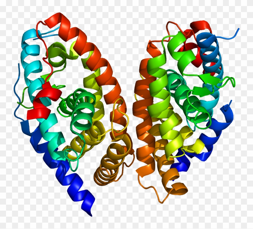 Hemoglobin Protein #782513