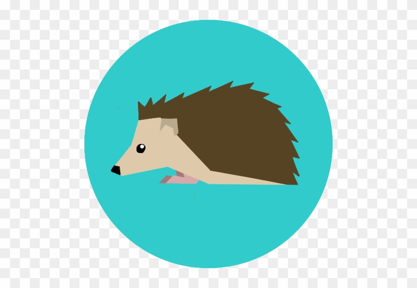 Hedgehog - Portrait Of A Man #782647