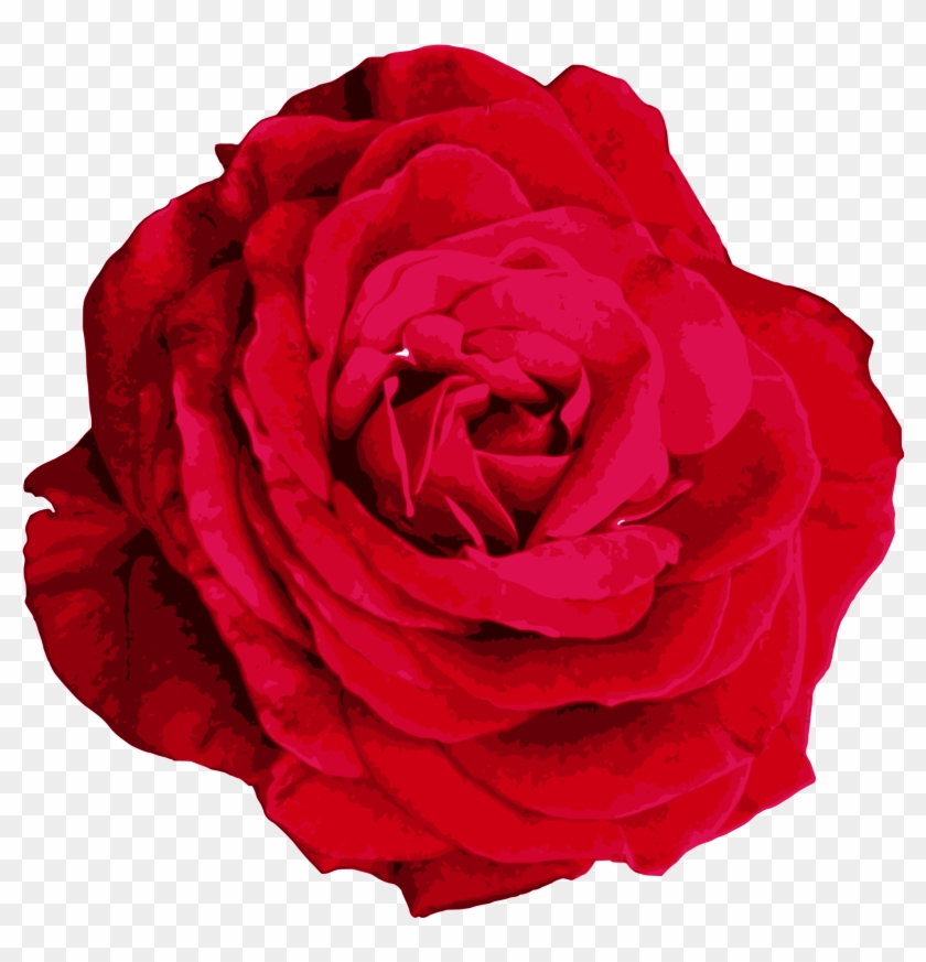 Red Rose Png Image Transparent Onlygfx - Hybrid Tea Rose #782736