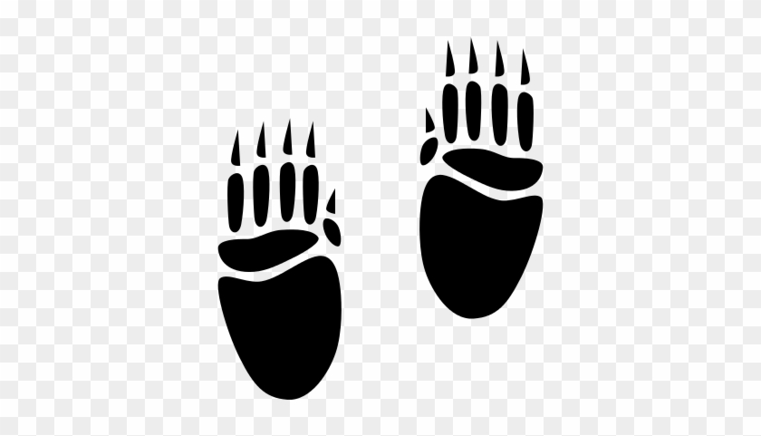 Porcupine Footprints Vector - Bear Footprints #782746