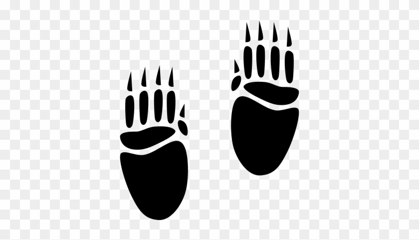 Porcupine Footprints Vector - Bear Footprints #782746