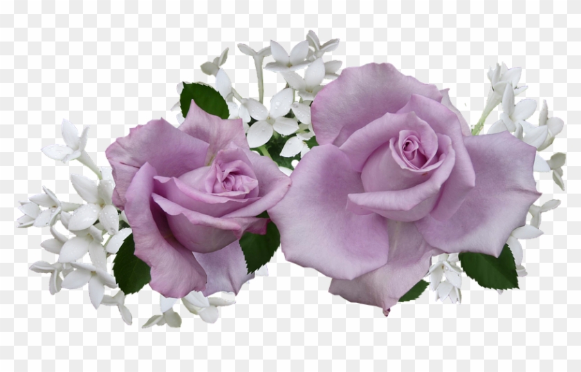 White Rose Png 2, Buy Clip Art - Mauve Flower #782838