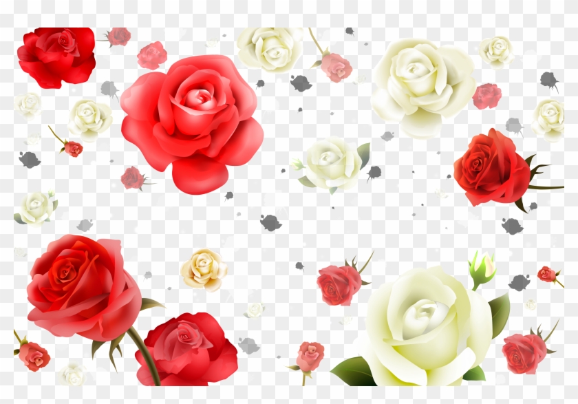 Beach Rose Flower White Petal - Gladsbuy Romantic Flowers 20 X 10 Computer Printed #782884