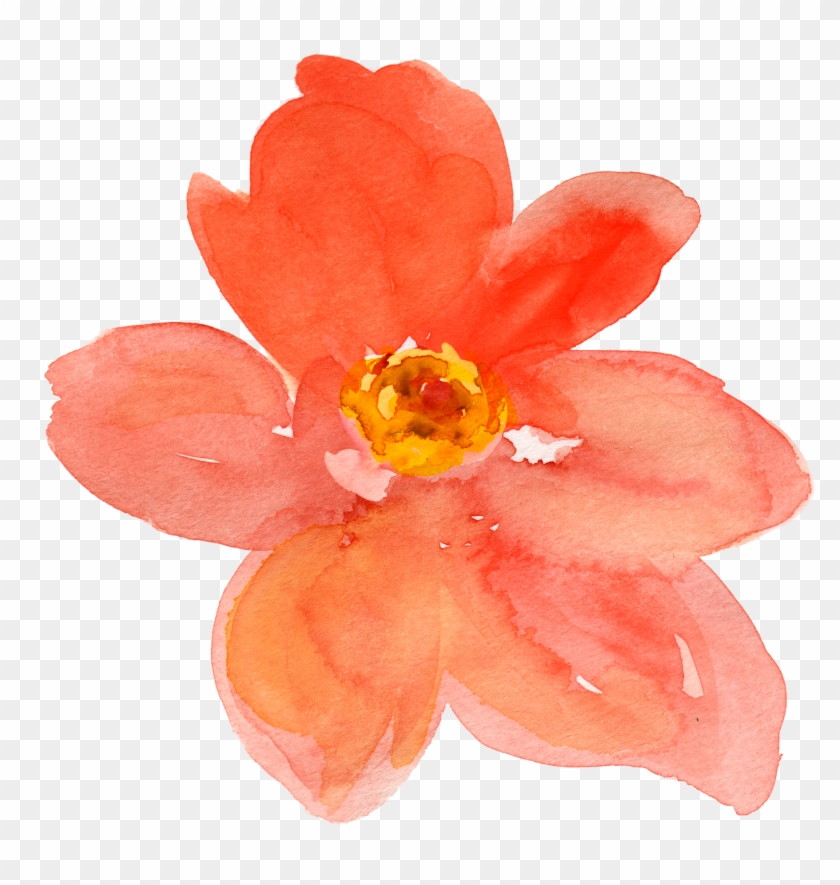 28 Collection Of Orange Watercolor Clipart - Transparent Flowers Watercolor Orange #782893