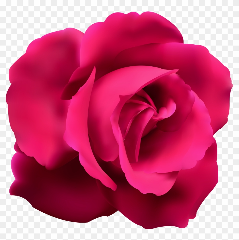 Pink Rose Clip Art - Blue Rose Transparent Background #783057