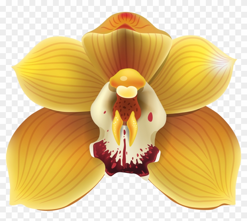 Yellow Orchid Png #783099