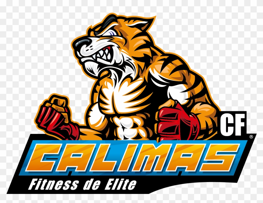 Calimas - Mma Fighting #783102