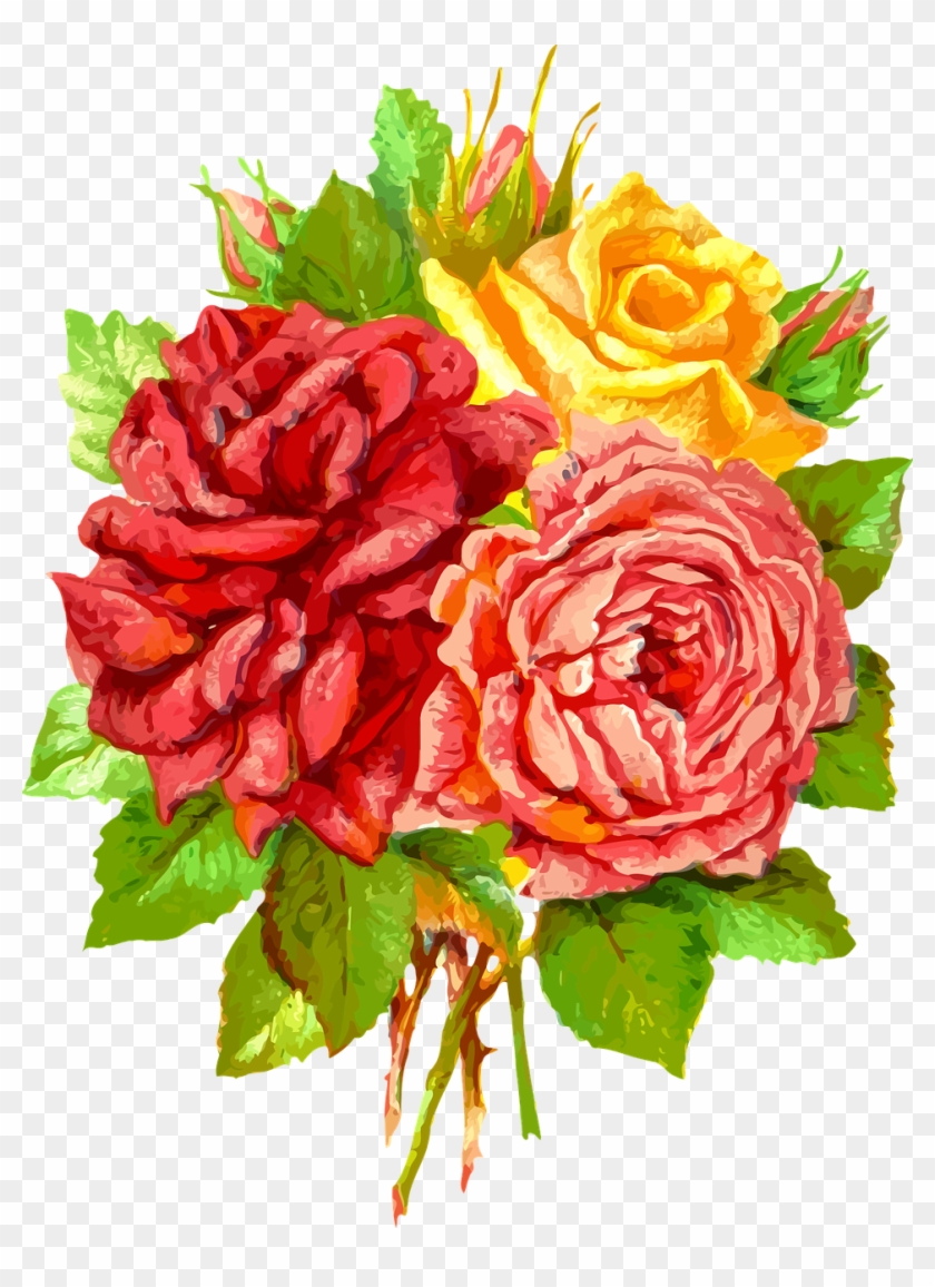 Vector Roses 19, Buy Clip Art - Blumennotecard - Sommer-rosen Karte #783175