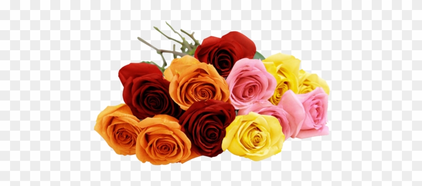 Blooming 12 Long Stemmed Assorted Rose Bouquet - دسته گل Png #783203