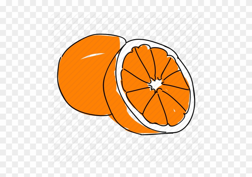 Drawn Fruit Orange - Fruit #783234