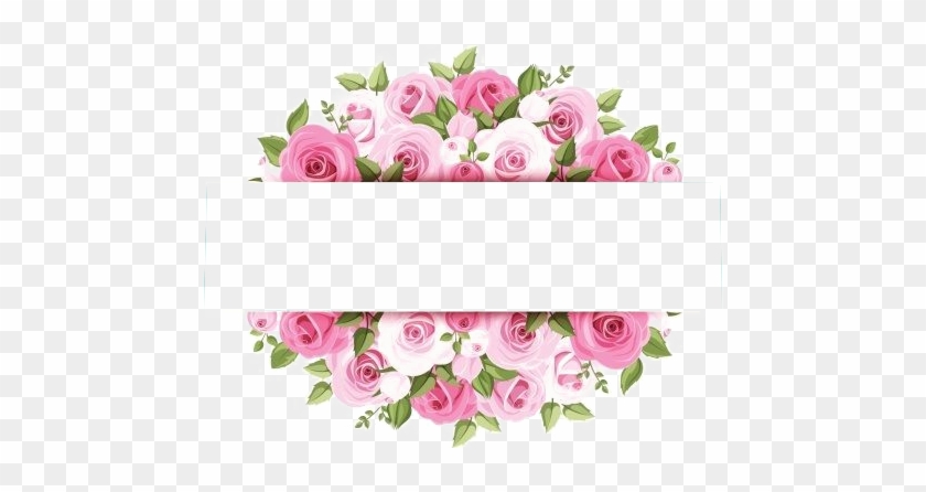 Rose Pink Flower Stock Photography - Flower Borders #783267