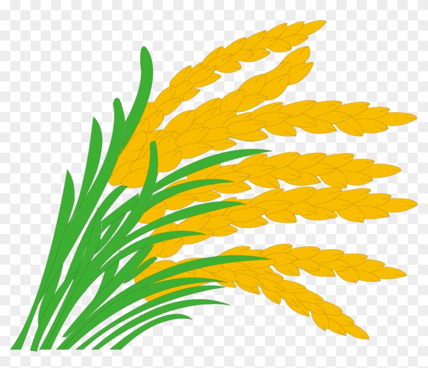 Rice Paddy Field Grasses Clip Art - Clipart Rice Field #783357