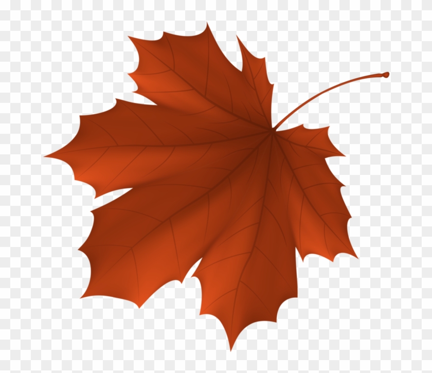 Autumn Leaf Color Maple Leaf - Autumn Leaf Color Maple Leaf #783389