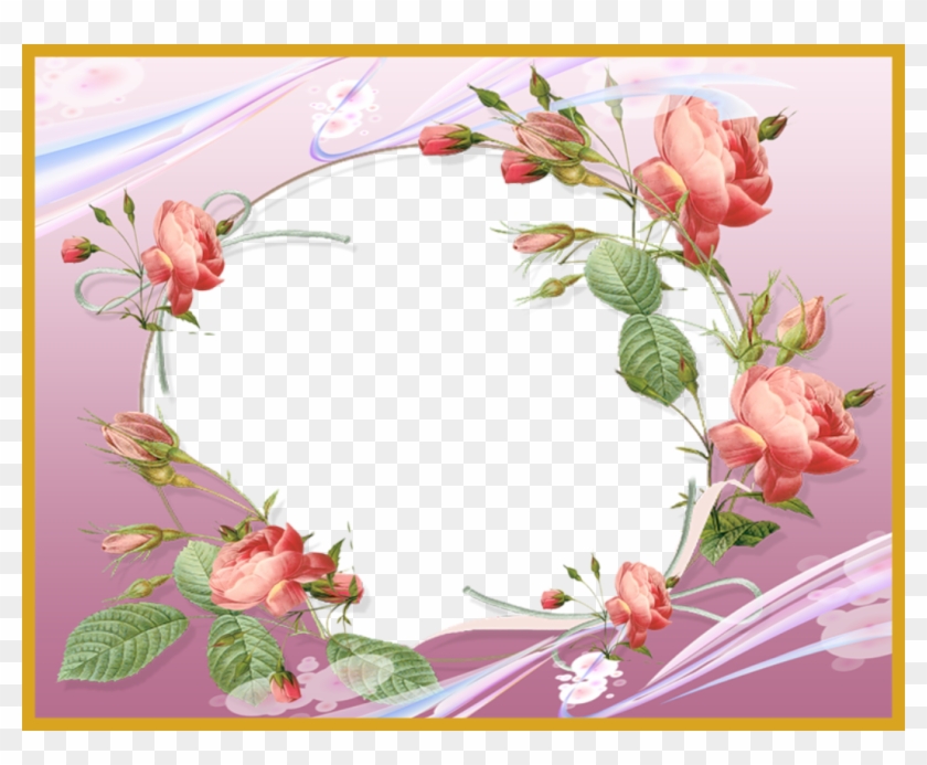 Rose Flower Rose Flower Frame Fascinating Pink Flower - Pardesi Shayari Urdu Sms #783401