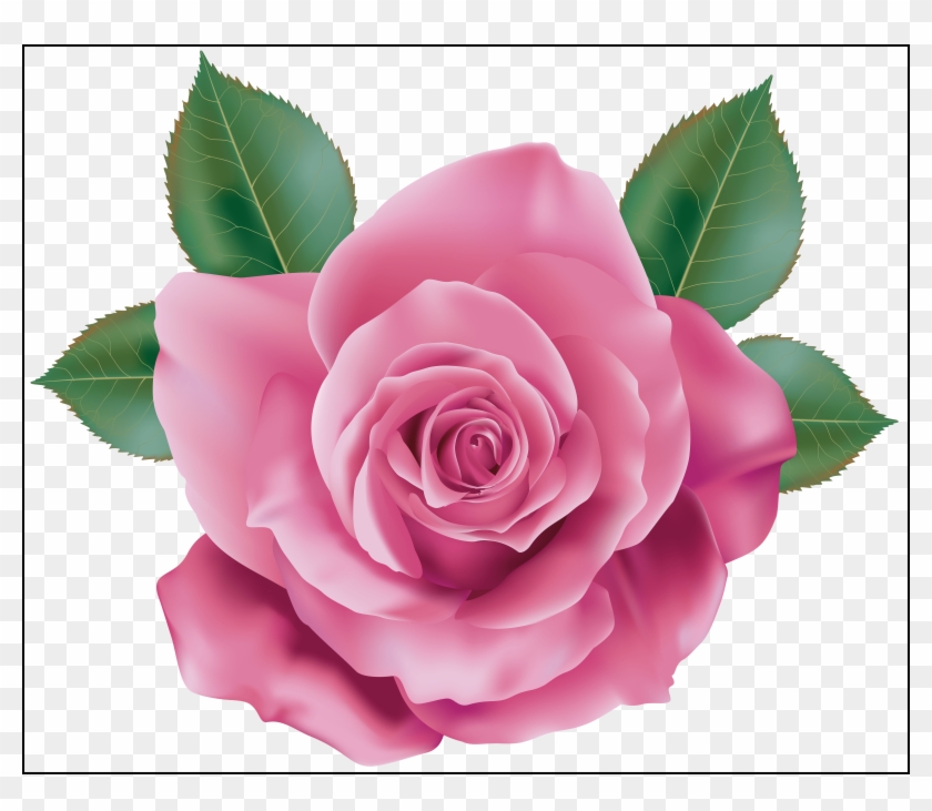 Rose Flower Rose Flower Hd Png Astonishing Pink Rose - Pink Rose Clip Art #783493