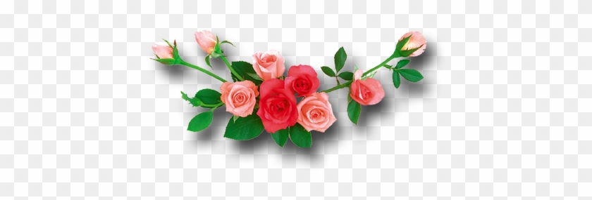 Decoration Rose Flower Png - Rose #783505