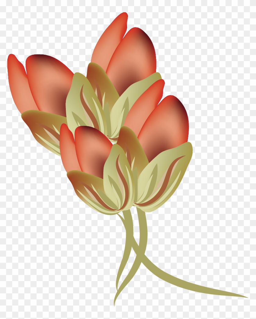 Vector Rose Bud 792*964 Transprent Png Free Download - Vector Rose Bud 792*964 Transprent Png Free Download #783591