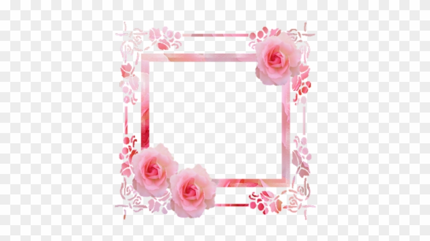Tubes Cadres Pink Roses Frame - Animated Love Teddy Bears #783569