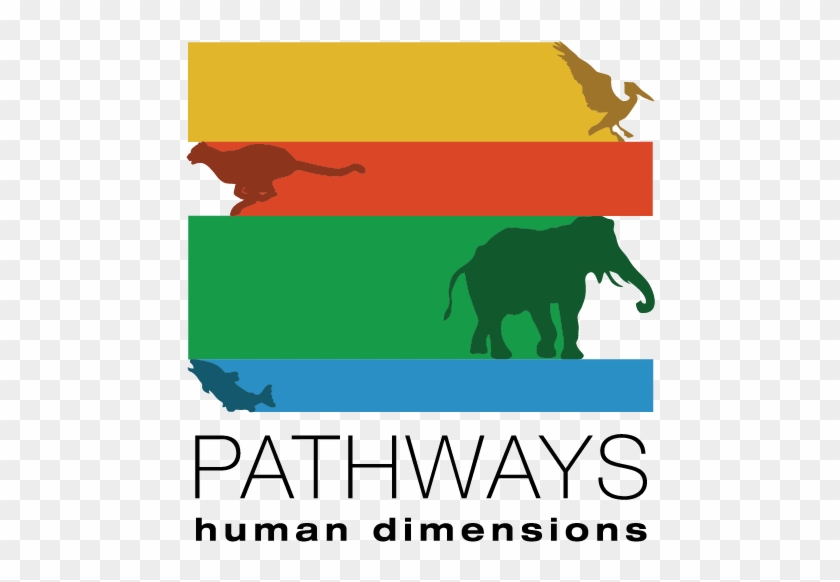 Pathways Logo - Indian Elephant #783655