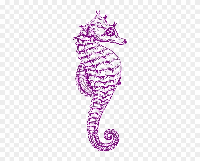 Purple Seahorse Clip Art - Pink Seahorse Clipart #783703