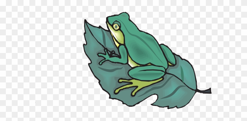 Leaf Frog Cartoons - Frog Is On The Leaf #783941