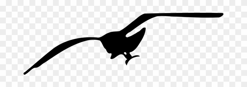 Bird Seagull Silhouette Fly Flying Seagull - Seagull Clip Art #784066