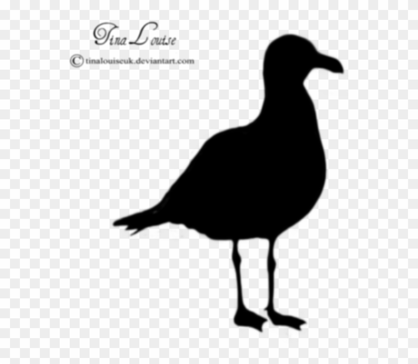 Seagull Clipart - Black And White Seagull Clipart #784075