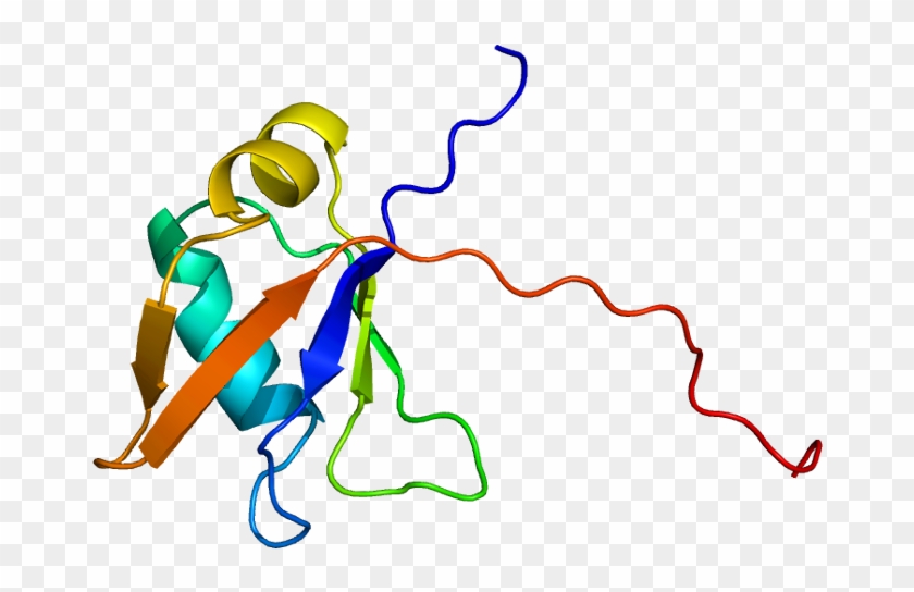 By Emw [cc By-sa - Tar Dna Binding Protein #784123