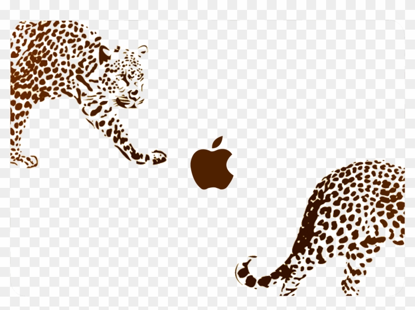 Jaguar Vs Leopard Cheetah Animal Print Chart People - Guepardo Para Pintar #784307
