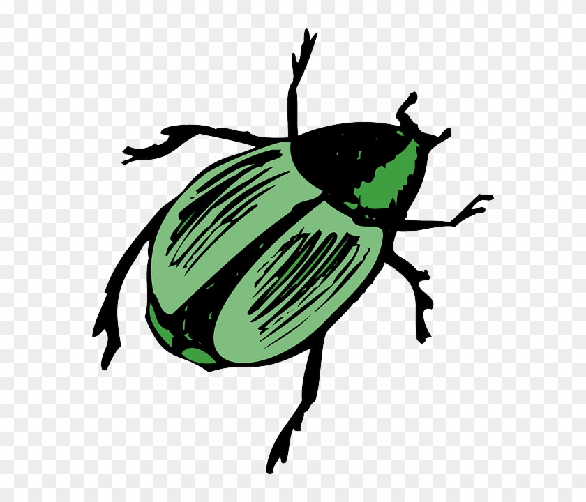 Top, Green, View, Wings, Shiny, Insect, Beetle, Legs - Beetle Clipart #784345