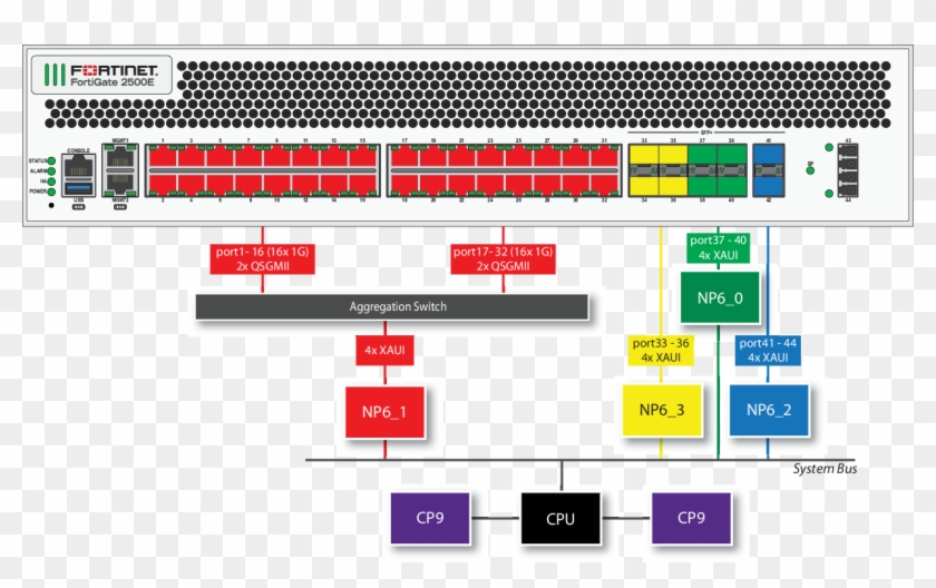 The Following Diagram Also Shows The Xaui And Qsgmii - Fortigate Np6 600d #784509