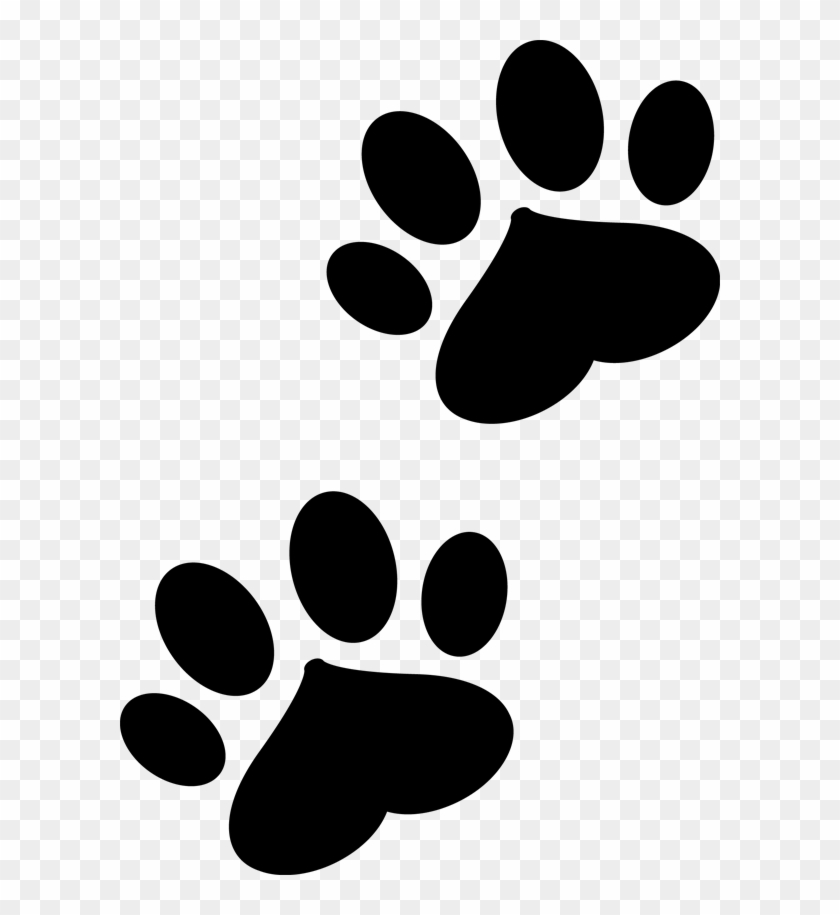 Pet Feeding - Pet Feeding #784625