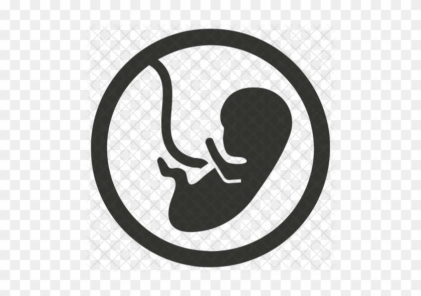 Embryo Icon - Baby Icon Png #784786
