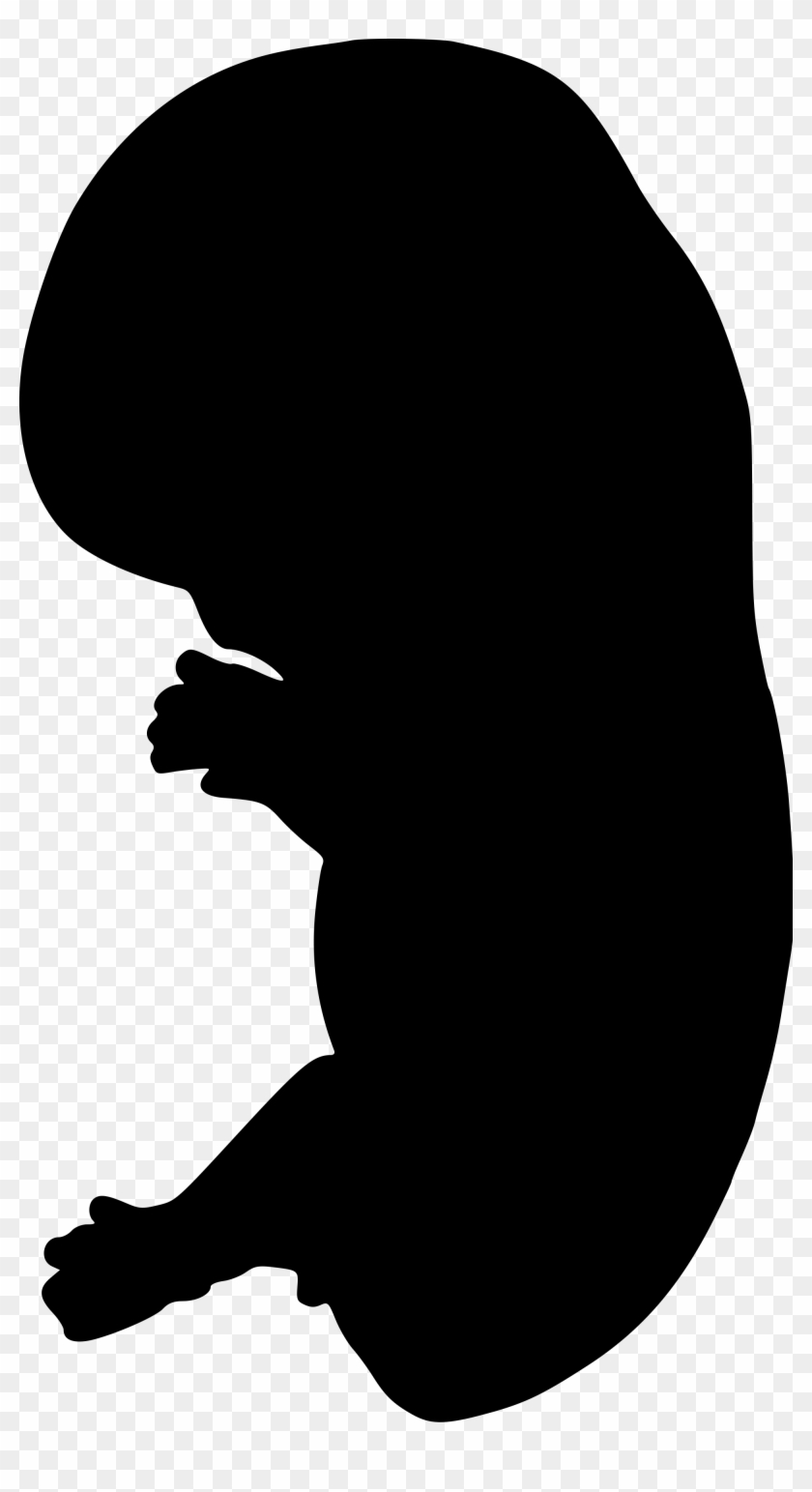 File - Gray63 - Svg - Embryo Silhouette #784813