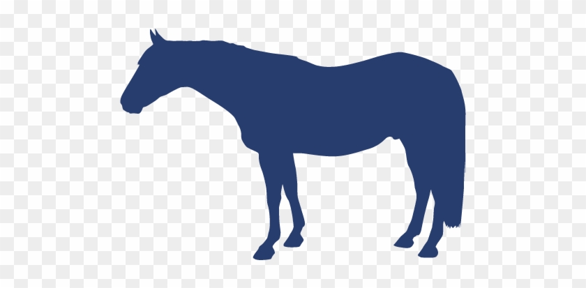 Horse's Name - Náčrtek Koně #785279