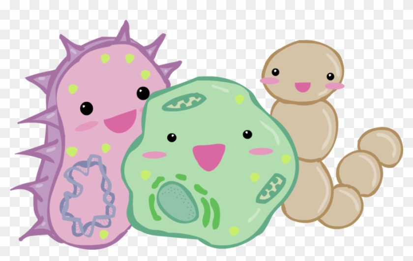 Png Image - Probiotic Cute #785538