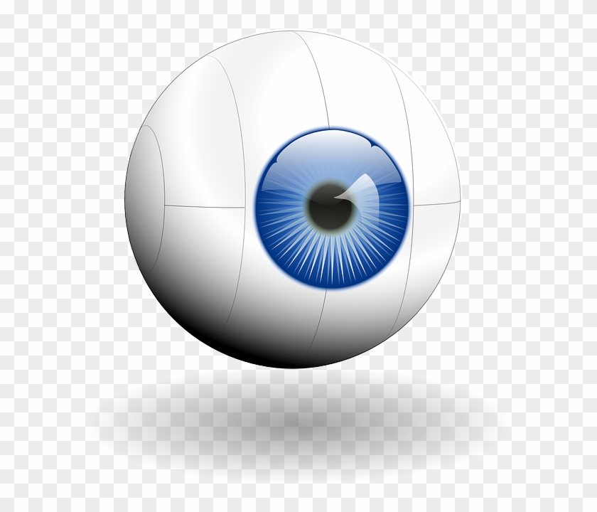 Eye-eyebulb Vector - Eye Clip Art #786341
