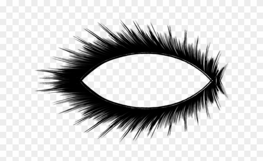 Eyelash Clipart Transparent - Eyelash #786374