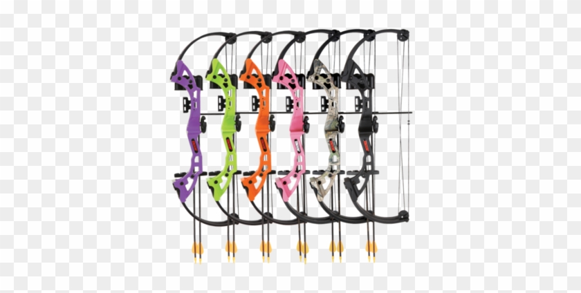 Bear Archery Brave Black Youth Bow Set #787012