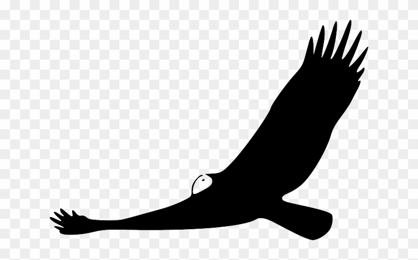 Animals, Turkey, Silhouette, Cartoon, Birds, Flying - Turkey Vulture Clipart #787640