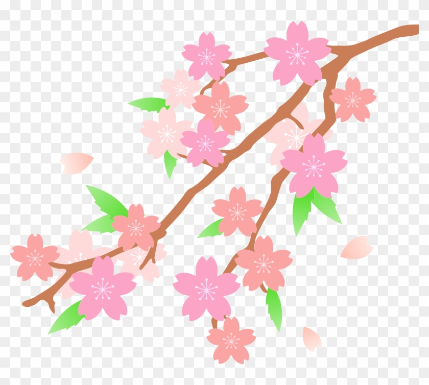 Medium Image - Cherry Blossom Branch Clipart #787836