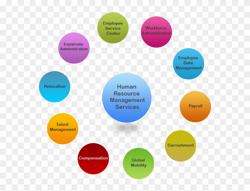 Human Resource Management Certified Human Rh Hrtips - Human Resources Life Cycle #787906