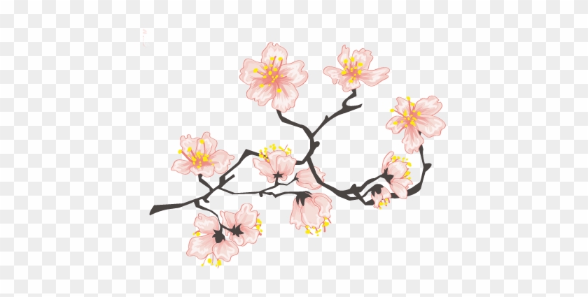 Website Design By - Transparent Cherry Blossom #788095
