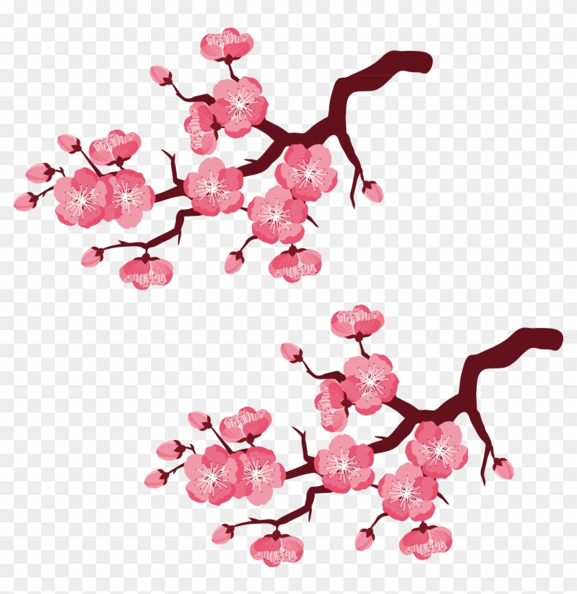 Cherry Blossom Branch Illustration - Cherry Blossom Cartoon Png #788197