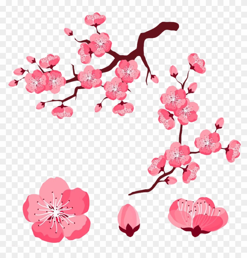 Cherry Blossom Adobe Illustrator Clip Art - Pink Cartoon Cherry Blossoms Flowes #788206