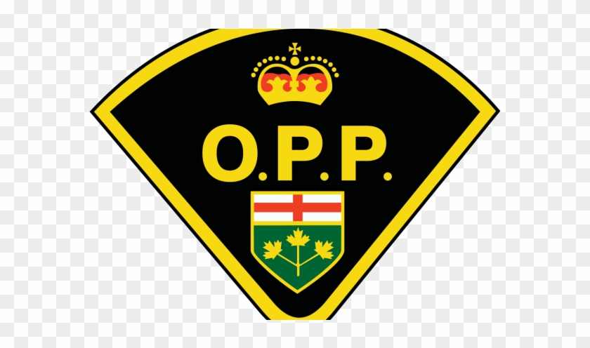 Motorists Fail To Stop For Buses - Ontario Provincial Police #788312