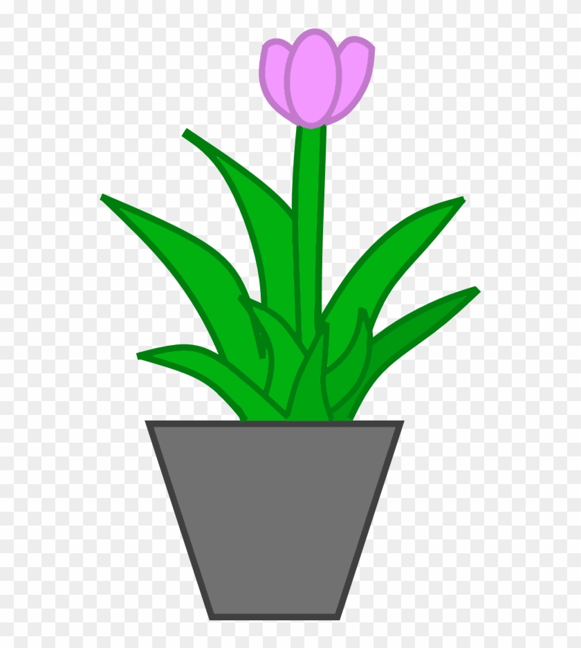 Potted Plant - Wiki #788936