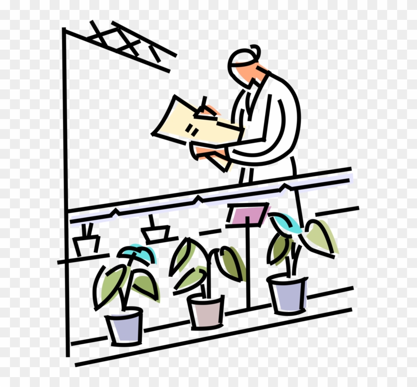 Vector Illustration Of Plant Biologist Studies Plant - Vector Illustration Of Plant Biologist Studies Plant #789012