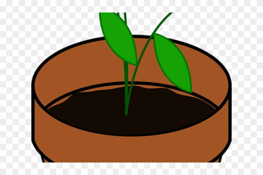 Potted Plants Clipart Grows - Plant Clip Art #789031