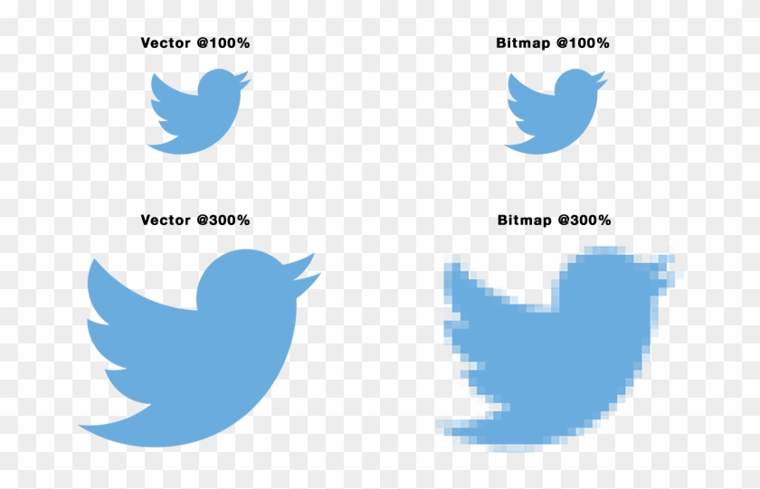 Difference Between Bitmap And Vector - Twitter Logo Vector Black #789174